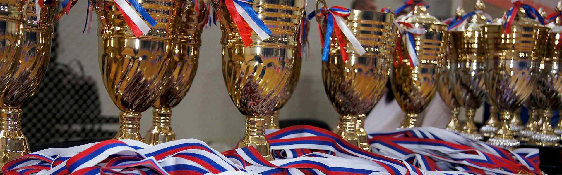 Кубки, наградные статуэтки, медали